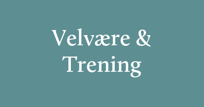 Helse og trening er viktige nøkkelfaktorer for både velvære og prestasjon – både for individet og i organisasjoner. Foredragsholdere innen dette området inspirerer til sunne vaner og viser hvordan fysisk aktivitet, restitusjon og mental balanse påvirker livskvalitet, arbeidsglede og effektivitet. Med ekspertise innen alt fra treningspsykologi til ergonomi og livsstilsendringer gir de konkrete verktøy for å skape bærekraftige rutiner. Å booke en foredragsholder innen helse og trening passer utmerket for bedrifter som ønsker å fremme helse og forebygge stress i arbeidsmiljøet. Disse foredragsholderne bidrar med kunnskap, motivasjon og inspirasjon til et sunnere og mer energifylt liv.